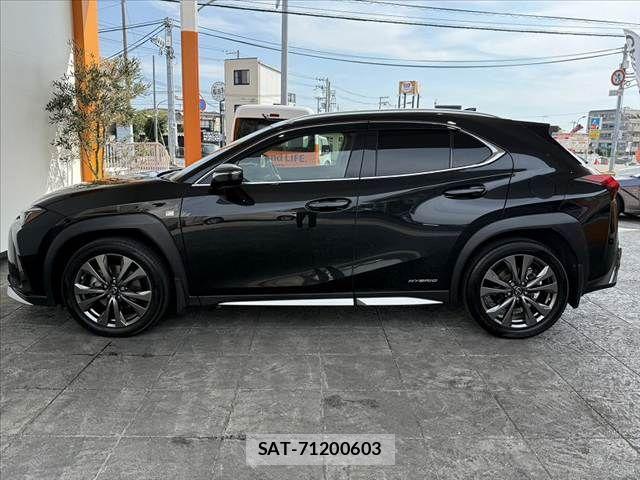 Lexus UX 2020-02 8315244-10