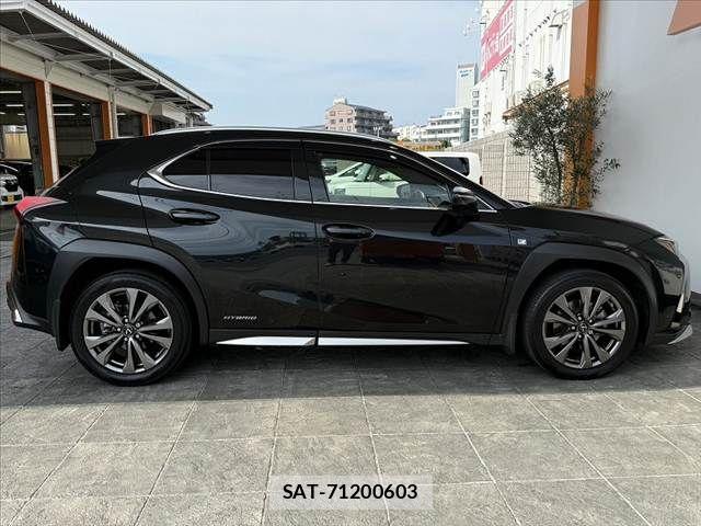 Lexus UX 2020-02 8315244-11