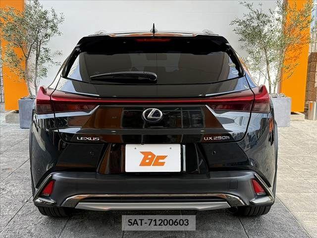 Lexus UX 2020-02 8315244-13