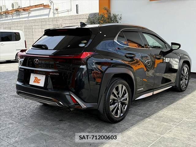 Lexus UX 2020-02 8315244-14