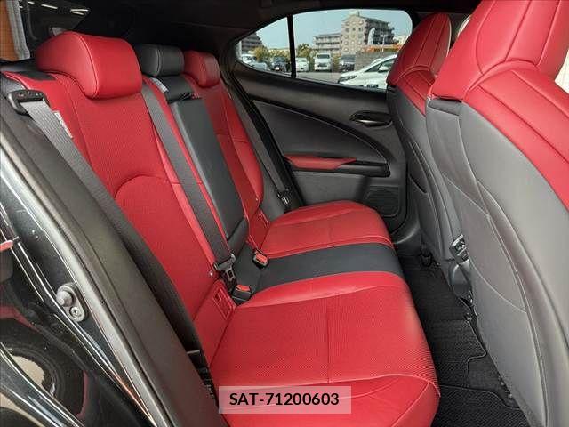 Lexus UX 2020-02 8315244-17