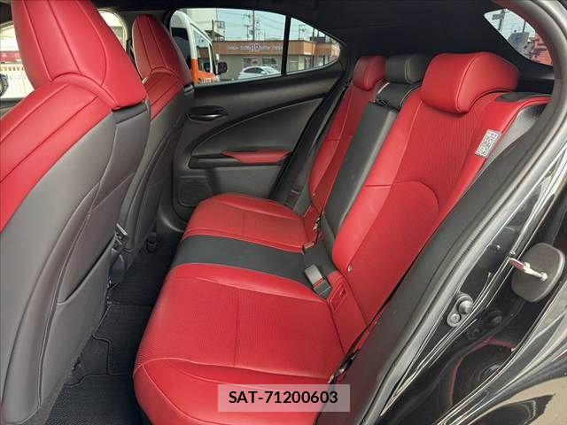 Lexus UX 2020-02 8315244-18