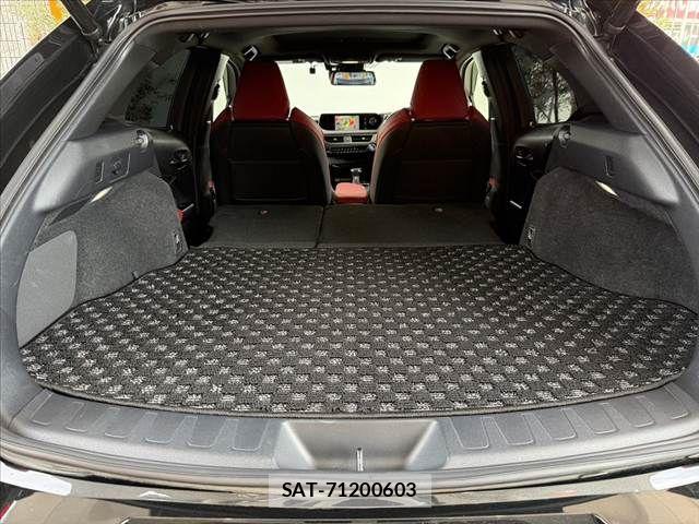 Lexus UX 2020-02 8315244-20