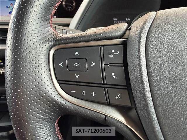 Lexus UX 2020-02 8315244-22