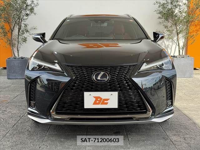 Lexus UX 2020-02 8315244-8