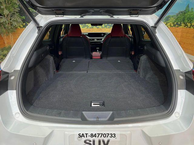 Lexus UX 2019-12 8366797-10