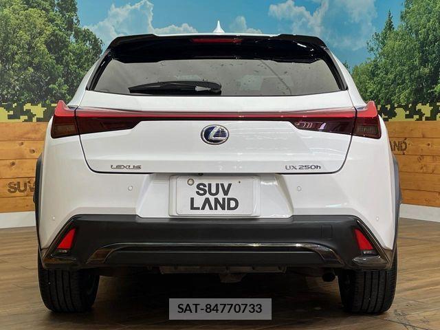 Lexus UX 2019-12 8366797-14