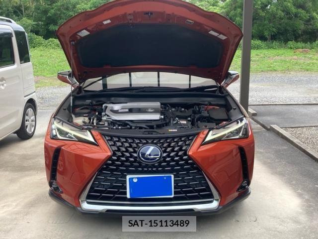 Lexus UX 2019-09 8413351-0