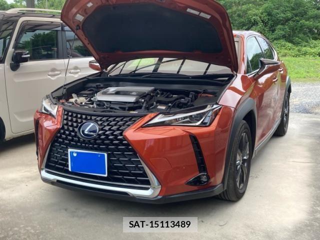 Lexus UX 2019-09 8413351-1