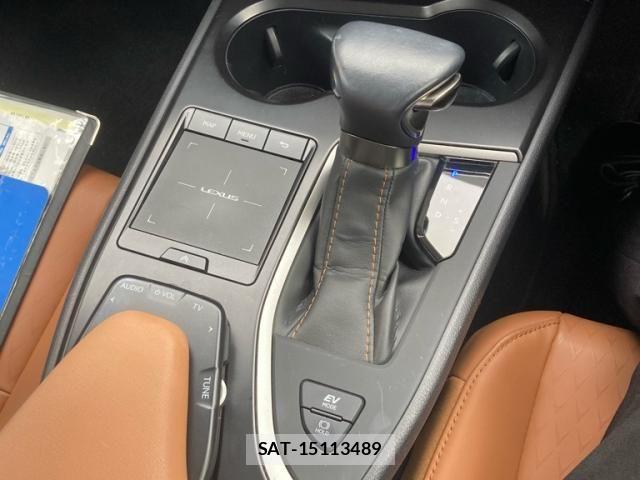 Lexus UX 2019-09 8413351-24