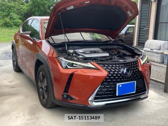 Lexus UX 2019-09 8413351-2