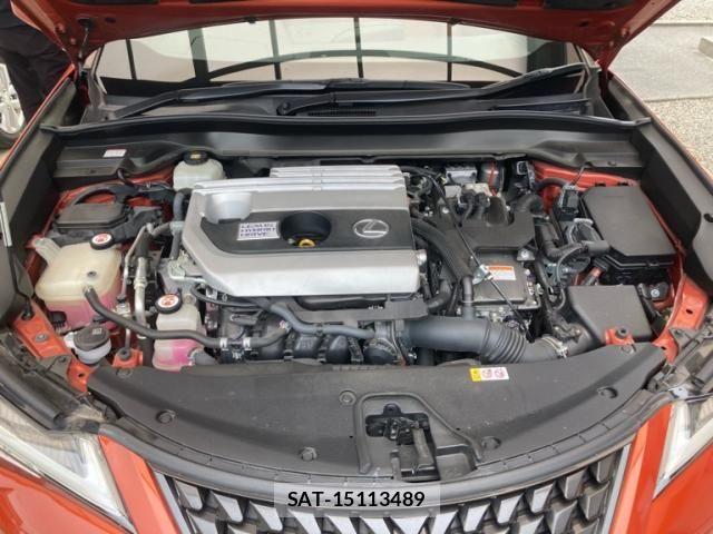 Lexus UX 2019-09 8413351-27