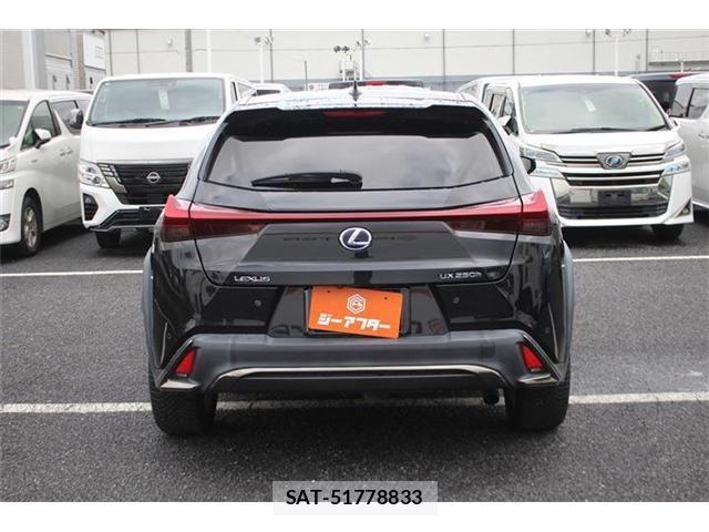 Lexus UX 2019-02 8413352-11