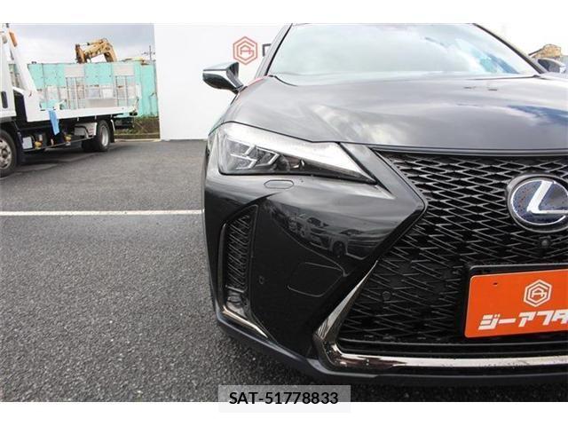 Lexus UX 2019-02 8413352-20