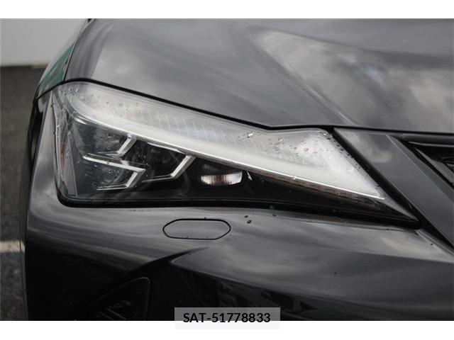Lexus UX 2019-02 8413352-21