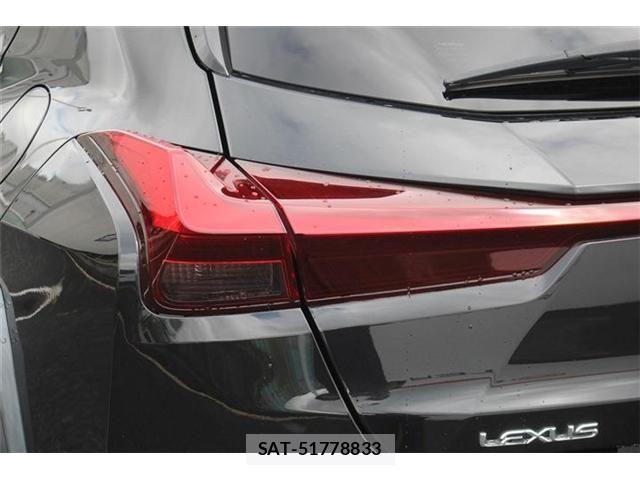 Lexus UX 2019-02 8413352-24