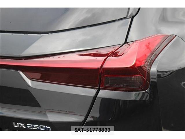 Lexus UX 2019-02 8413352-25
