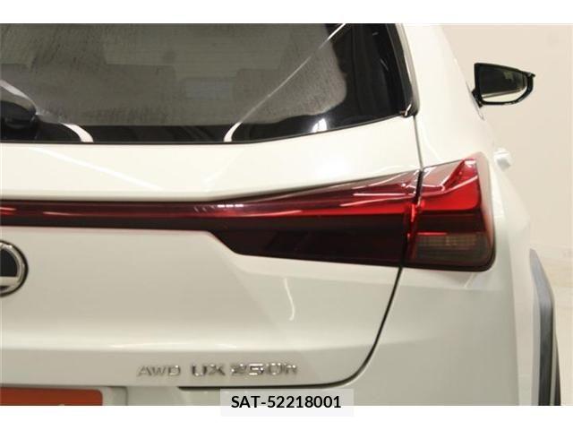 Lexus UX 2023-07 8743547-18