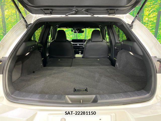Lexus UX 2020-05 8796530-11