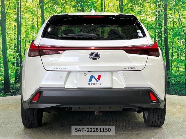 Lexus UX 2020-05 8796530-15