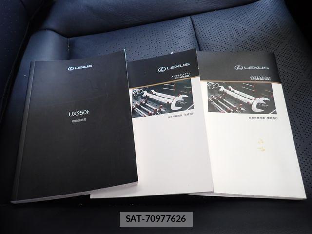 Lexus UX 2019-11 8796528-27