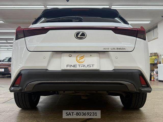 Lexus UX 2023-05 8880578-18