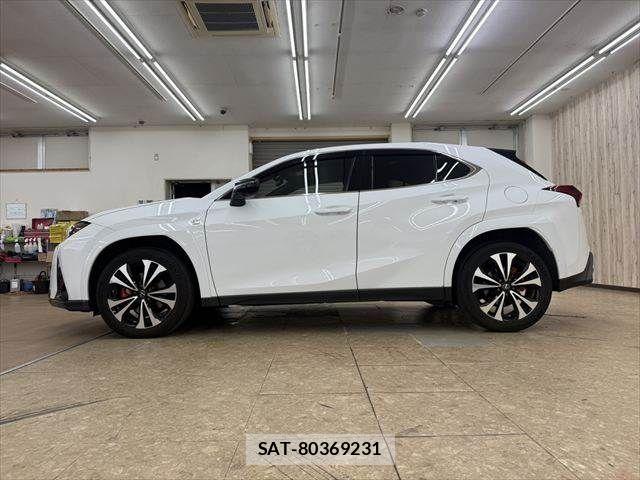 Lexus UX 2023-05 8880578-20
