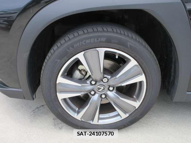 Lexus UX 2022-02 1176771-15