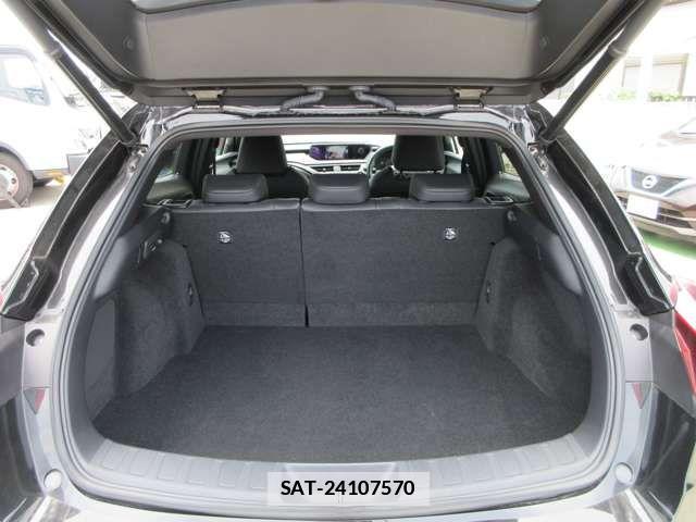 Lexus UX 2022-02 1176771-8