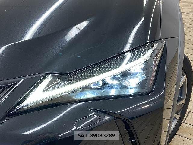 Lexus UX 2021-06 1328254-19