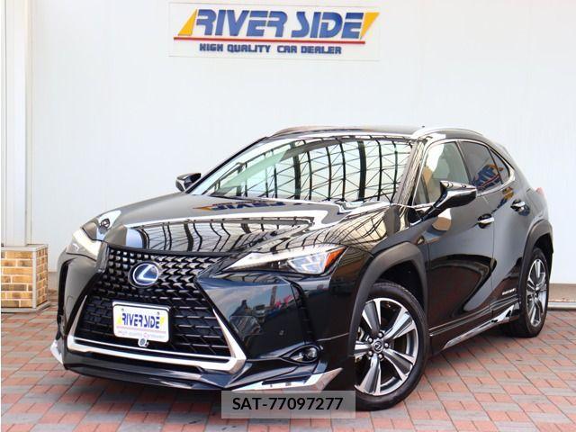 Lexus UX 2021-06 1413291-0