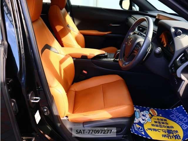 Lexus UX 2021-06 1413291-5