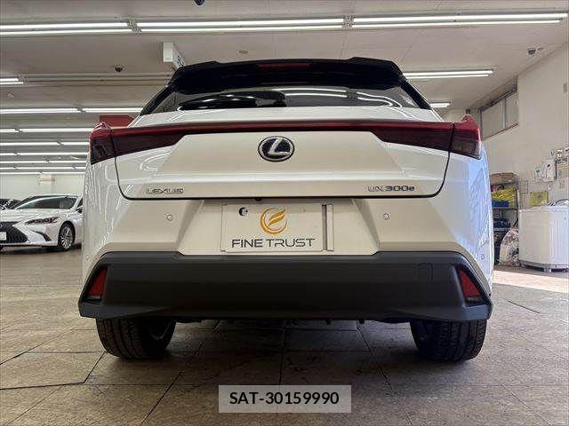 Lexus UX 2021-03 3907308-17