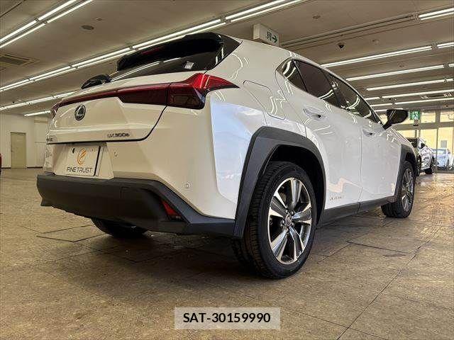 Lexus UX 2021-03 3907308-18