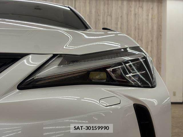 Lexus UX 2021-03 3907308-21