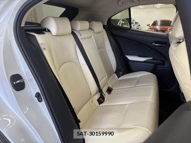 Lexus UX 2021-03 3907308-8