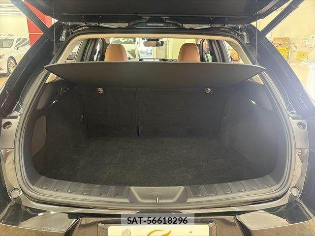 Lexus UX 2021-03 3907313-11
