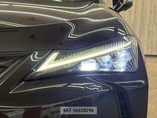 Lexus UX 2021-03 3907313-13