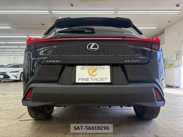 Lexus UX 2021-03 3907313-19