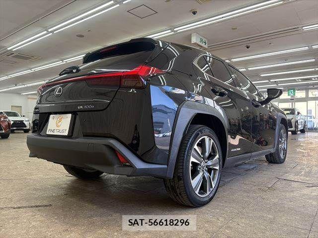 Lexus UX 2021-03 3907313-20
