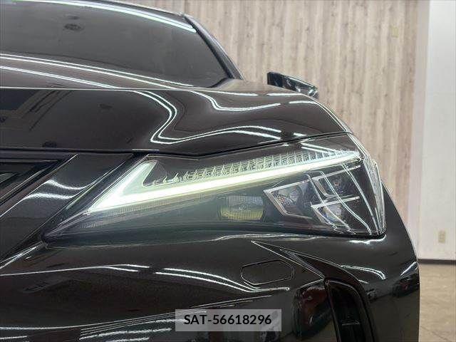 Lexus UX 2021-03 3907313-23