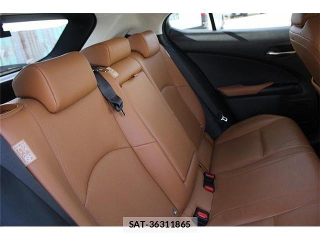 Lexus UX 2021-06 4044850-12
