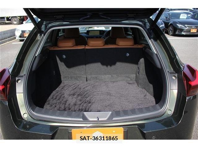 Lexus UX 2021-06 4044850-26