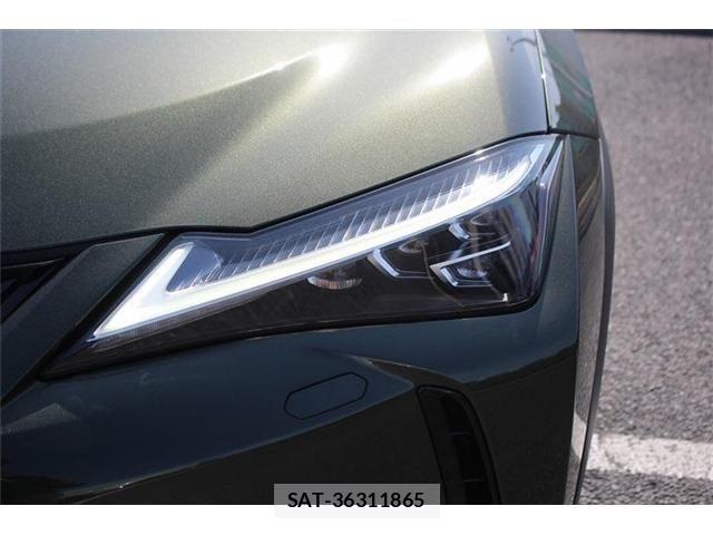 Lexus UX 2021-06 4044850-6