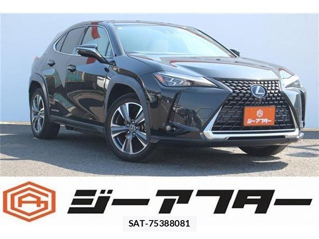 Lexus UX 2021-08 4965275-0