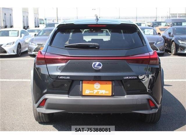 Lexus UX 2021-08 4965275-11