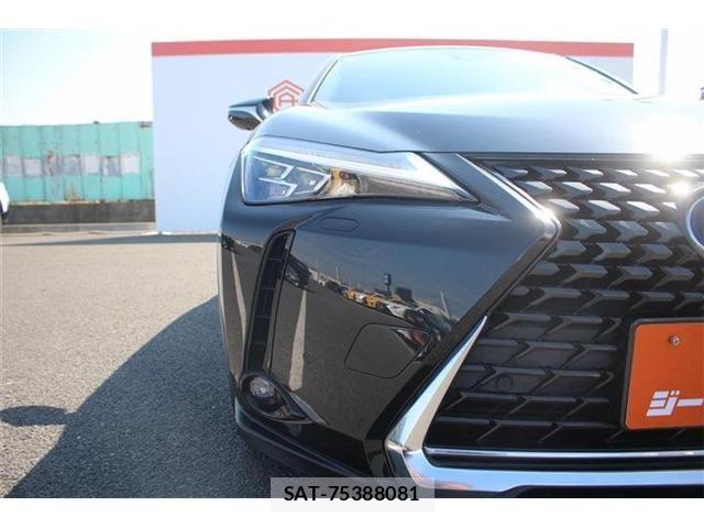 Lexus UX 2021-08 4965275-20