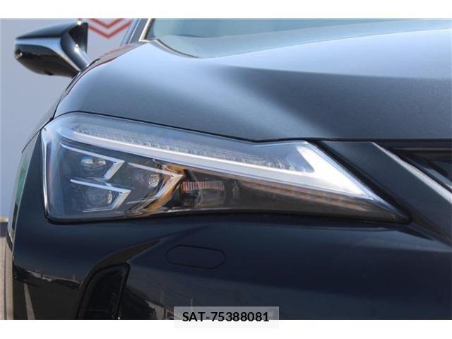 Lexus UX 2021-08 4965275-21