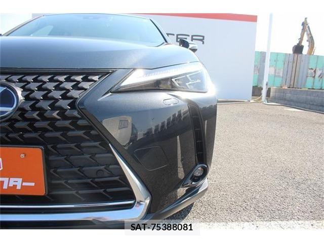 Lexus UX 2021-08 4965275-23