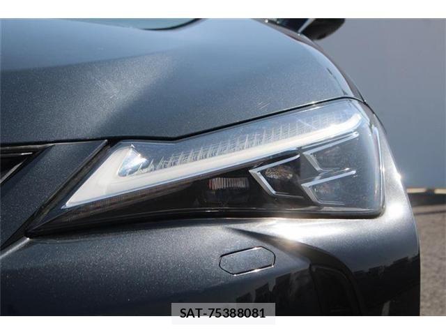 Lexus UX 2021-08 4965275-24